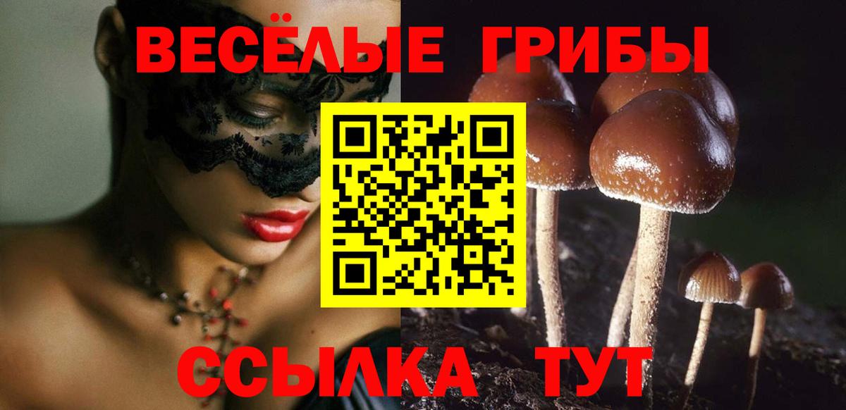 Галлюциногенные грибы GOLDEN TEACHER Избербаш
