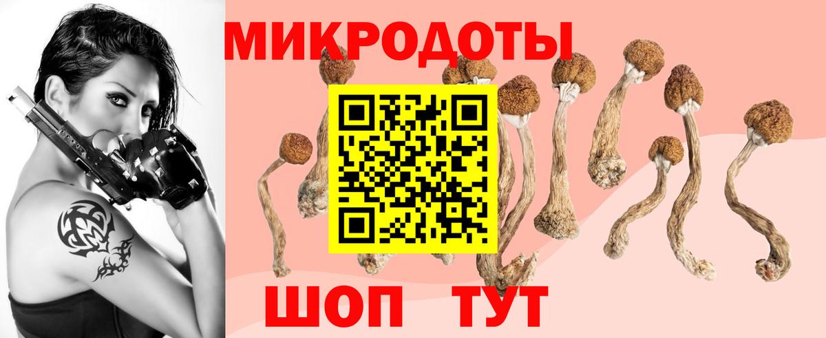 Галлюциногенные грибы Magic Shrooms  закладка  Избербаш  Вход с VPN 